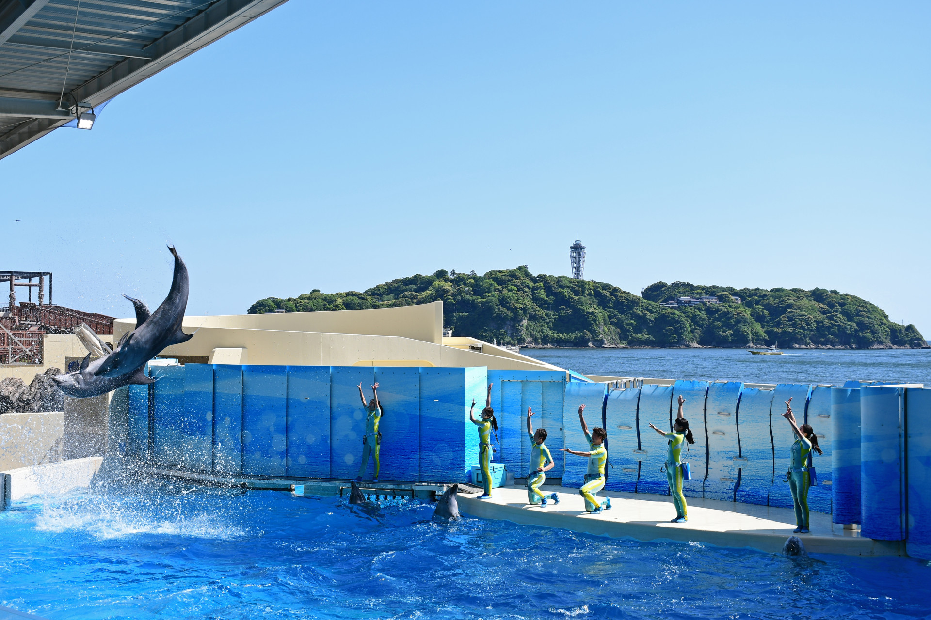 新江ノ島水族館見学とバックヤードツアー
